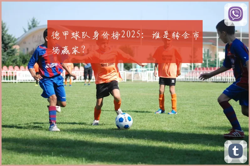 德甲球队身价榜2025：谁是转会市场赢家？