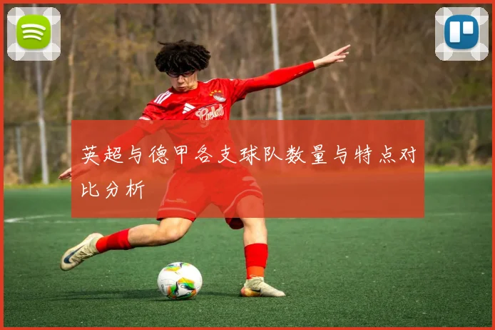 英超与德甲各支球队数量与特点对比分析