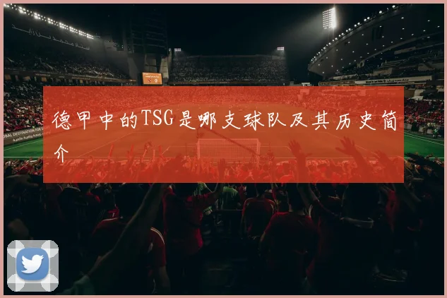 德甲中的TSG是哪支球队及其历史简介