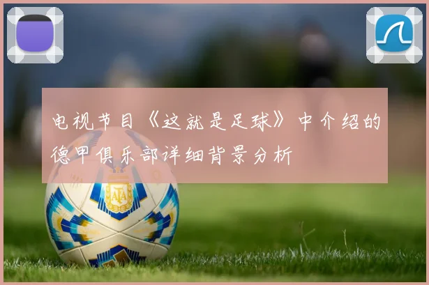 电视节目《这就是足球》中介绍的德甲俱乐部详细背景分析